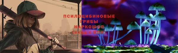 прущие крисы Алзамай