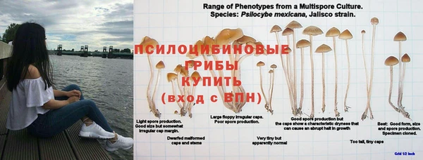 прущие крисы Алзамай