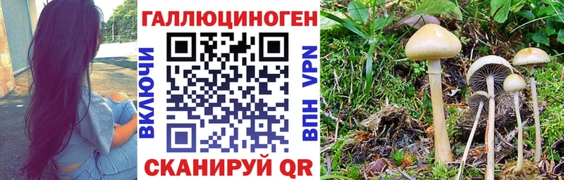 Галлюциногенные грибы мухоморы  Шимановск 
